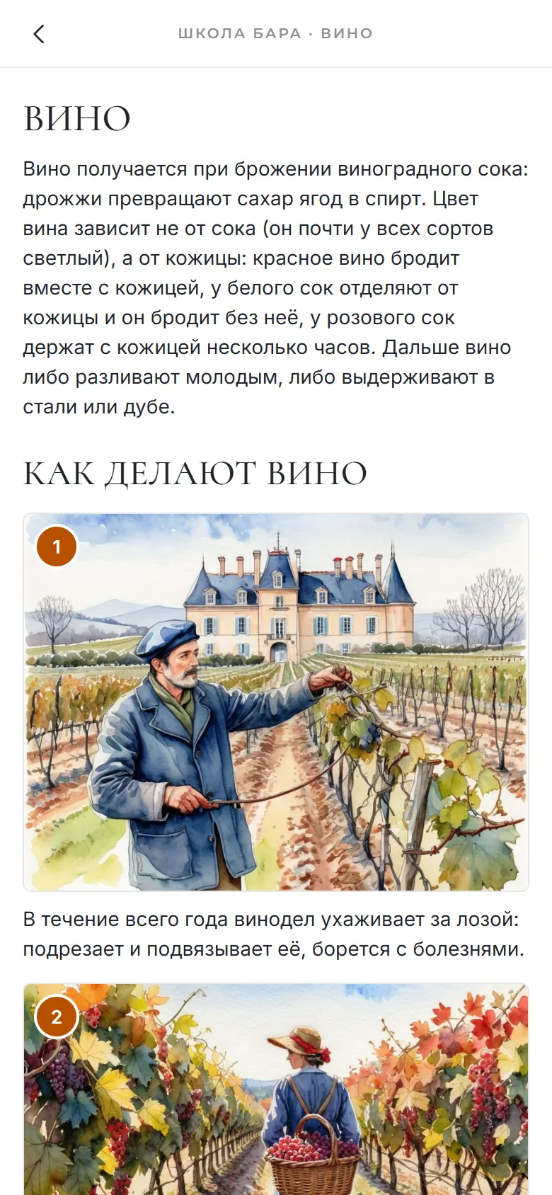 Школа бара, раздел «Вино»